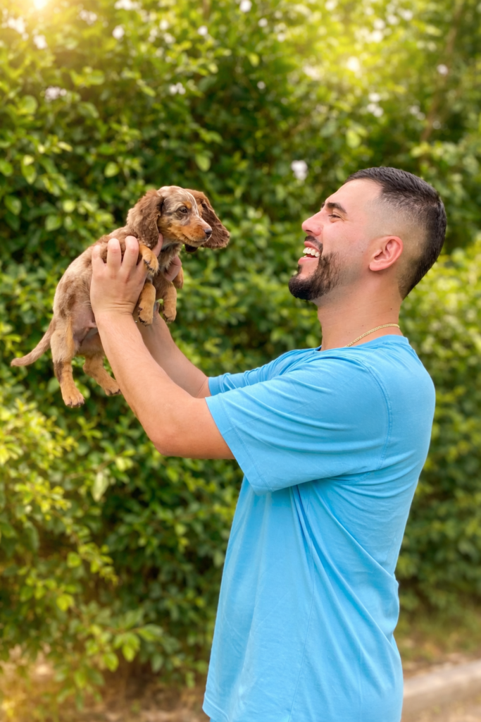 Amor Canino — cachorros de raza