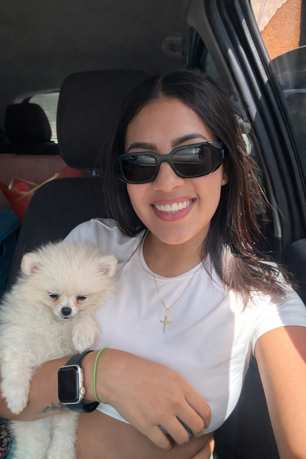 Cachorros saludables y felices