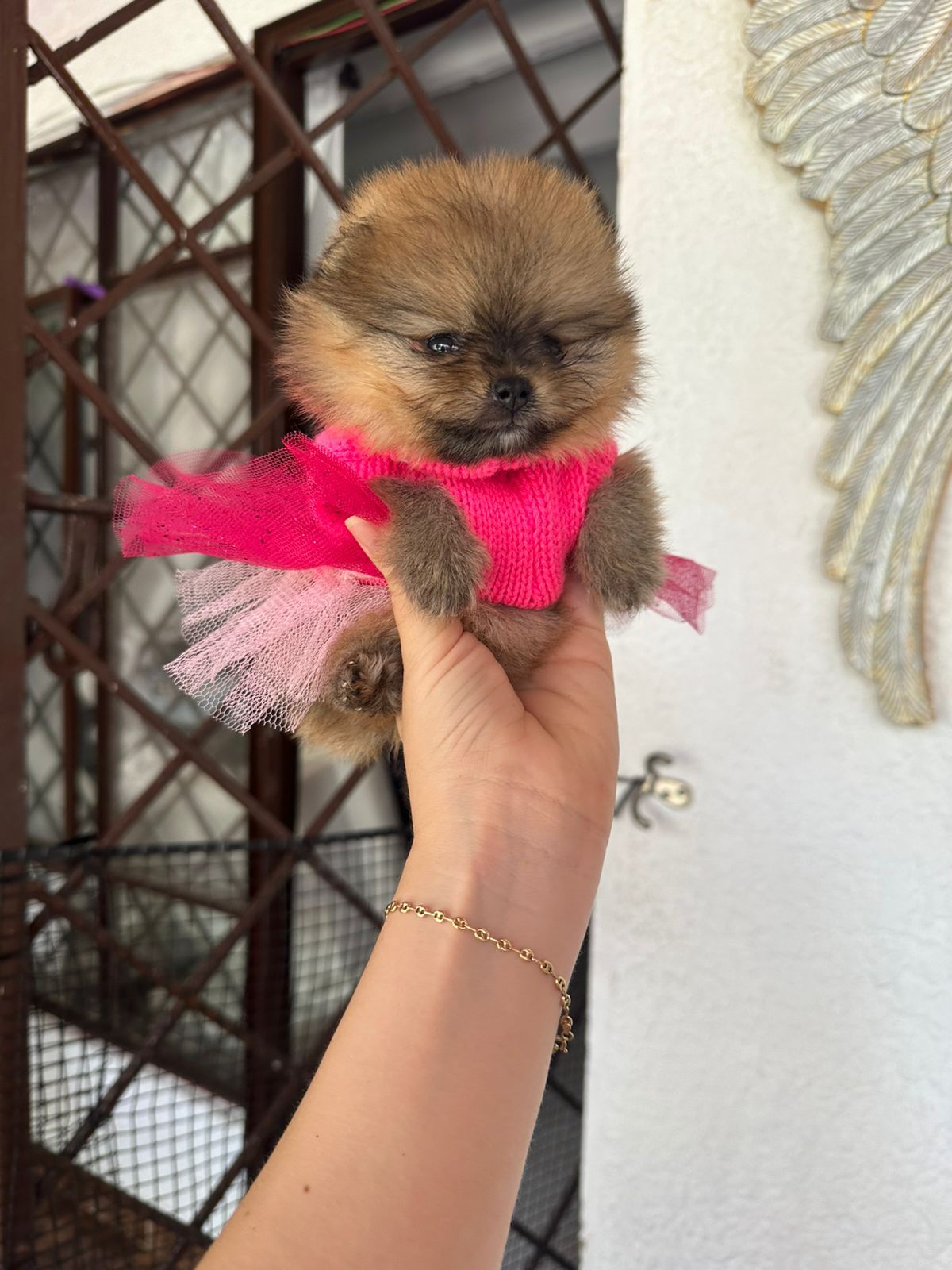 Tipo Osita 🐻😍